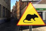 We Wrocławiu pojawił się nowy znak: Uwaga Szczury! [ZOBACZ ZDJĘCIA], 